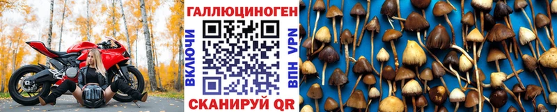 Галлюциногенные грибы ЛСД  сколько стоит  Агрыз 